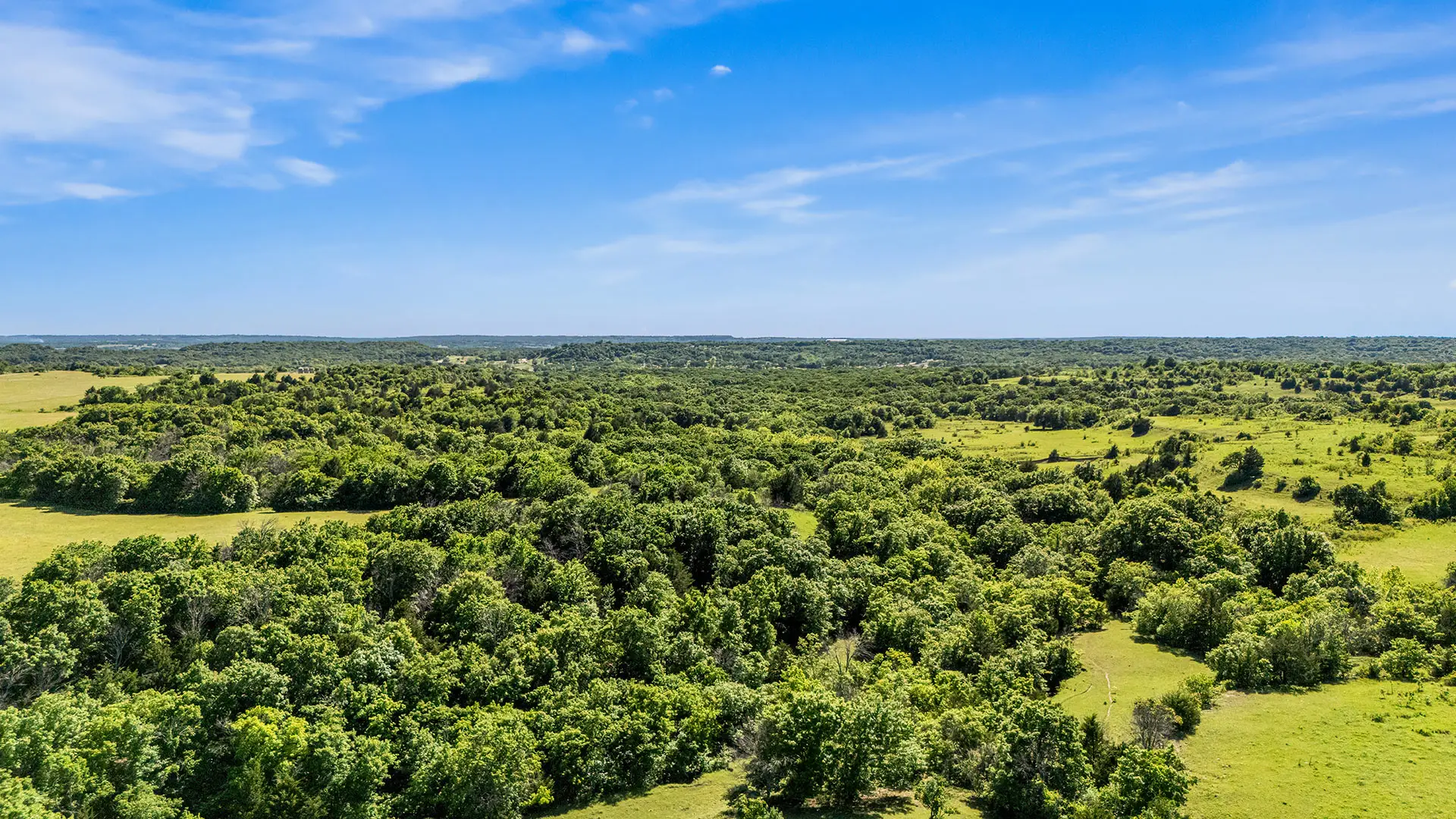 Aerial view of dense hardwood timber meeting open pasture