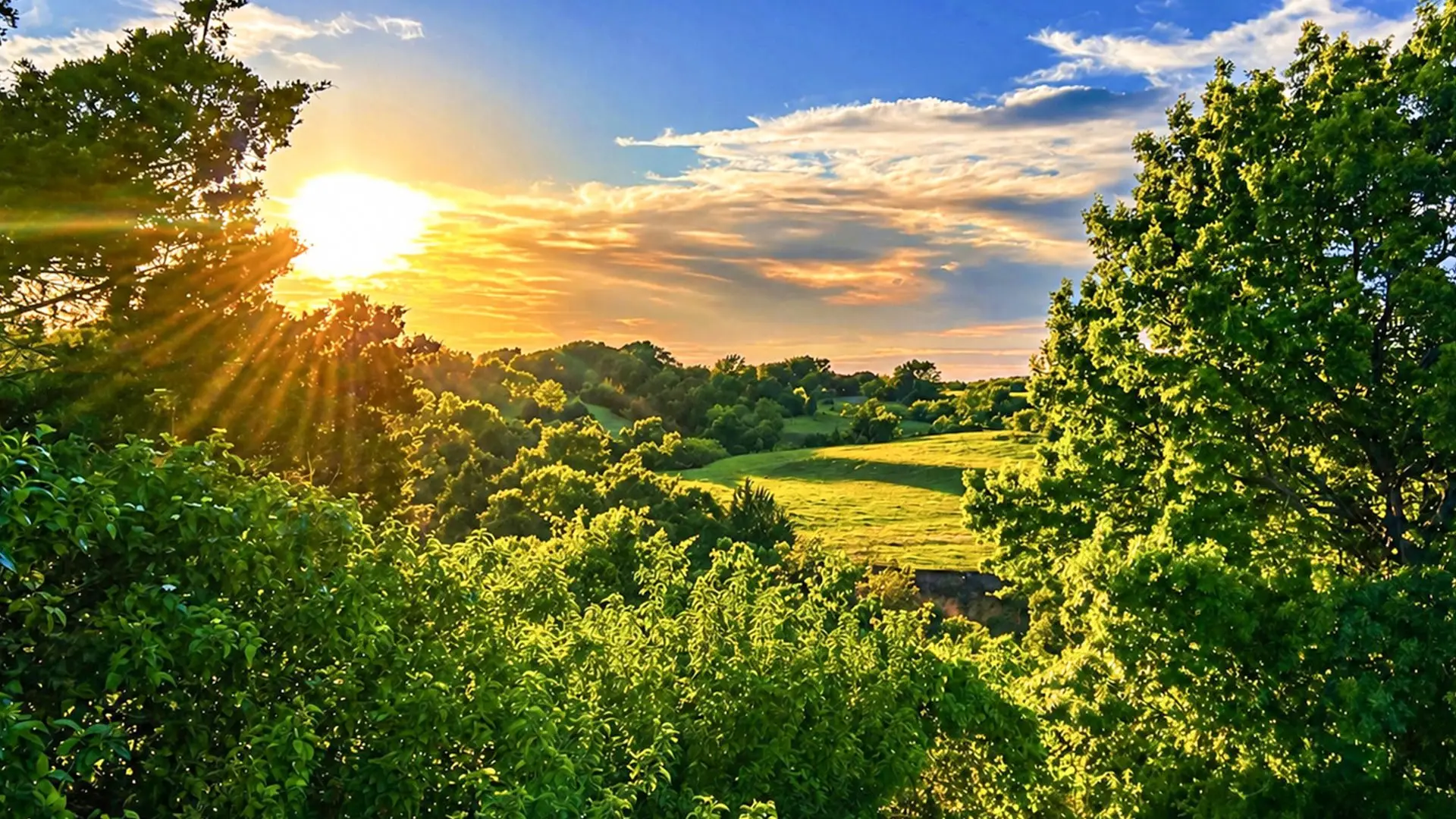 Sun setting over a green meadow framed by hardwood trees at The Vistas at Clear Creek